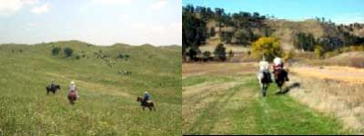 f0147840_01642.jpg