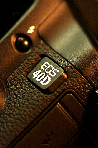 f0042548_833030.jpg
