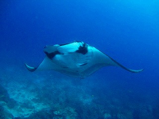 b0117957_15311947.jpg