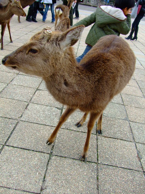 f0142070_21584717.jpg