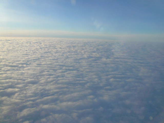 a0100975_13162.jpg