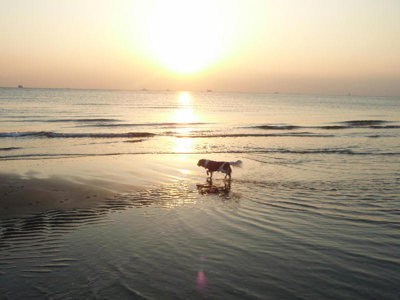 c0075585_13152946.jpg