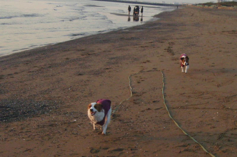 c0075585_1322772.jpg