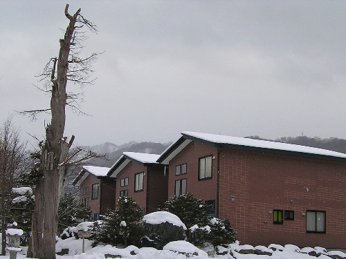 a0067991_10332269.jpg