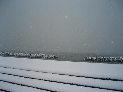 f0047693_13896.jpg
