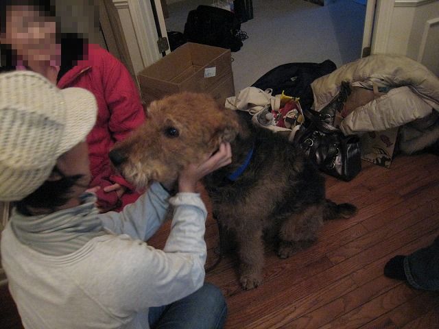 e0109202_12552584.jpg