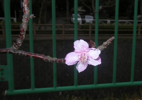 c0097309_2120549.jpg