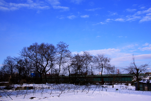 d0146912_2356227.jpg