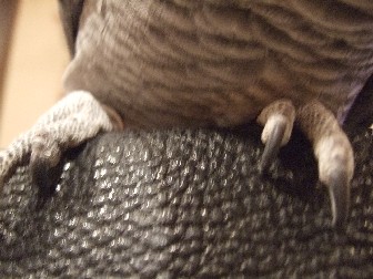 c0133013_0241083.jpg