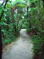 f0003919_147229.jpg