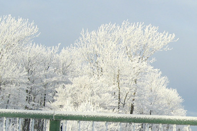 c0024729_2012195.jpg