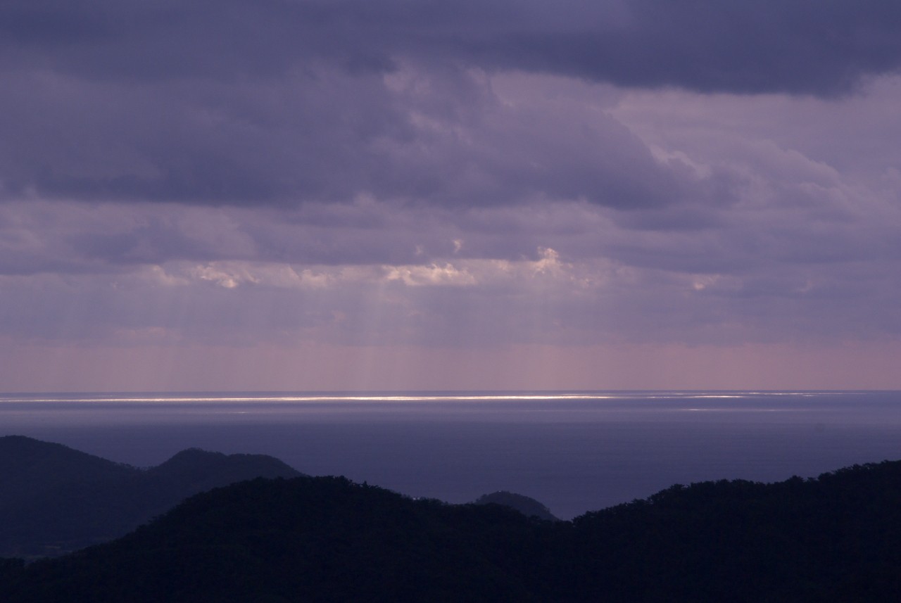 長雲峠とヒカンザクラ_d0053930_1951213.jpg