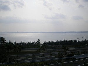 2007年12月　農連市場ふたたび　　_a0055835_1685435.jpg