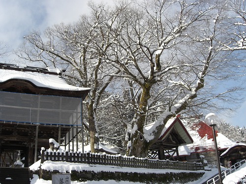 ひだまりから吹雪_a0084753_11455433.jpg