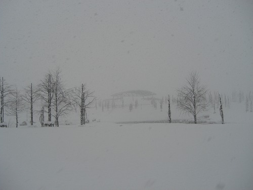 ひだまりから吹雪_a0084753_11485878.jpg
