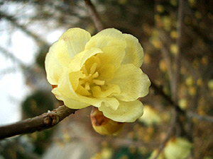 b0042756_13541744.jpg