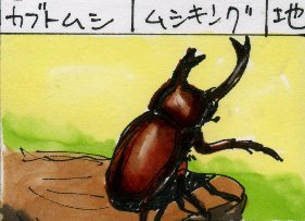 自家製カード その2_a0087957_6104579.jpg