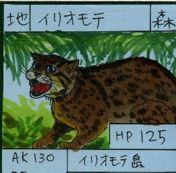 自家製カード その2_a0087957_6121182.jpg