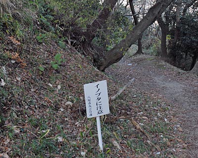 おおさか環状自然歩道　十三峠～高安山～上ノ太子_e0035757_12255718.jpg