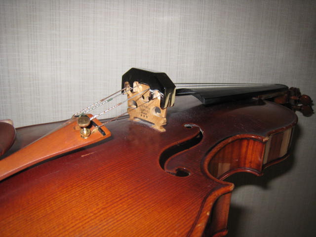 最近の相棒( ´艸`)_f0109257_10315615.jpg