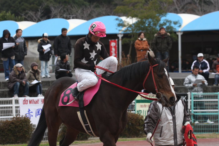 今井貴大騎手、高知競馬初勝利～_a0077663_1882965.jpg