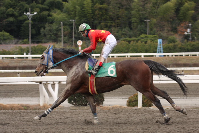 今井貴大騎手、高知競馬初勝利～_a0077663_189156.jpg