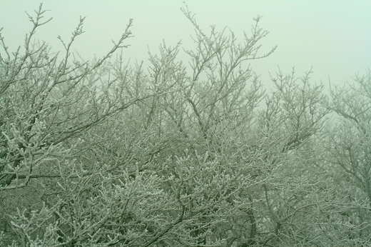 d0102968_82257.jpg