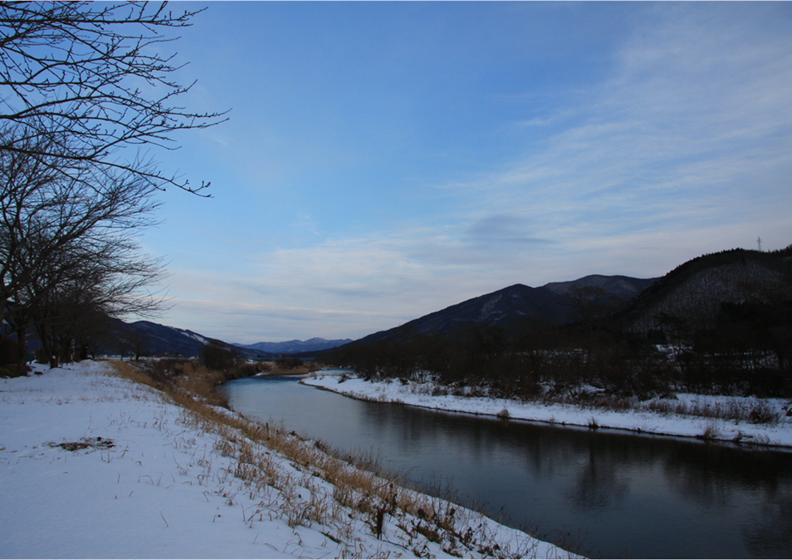 f0054868_11167.jpg