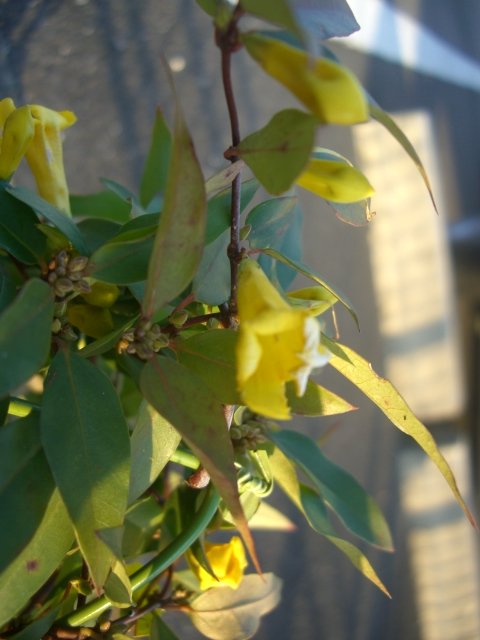 f0137275_5331030.jpg