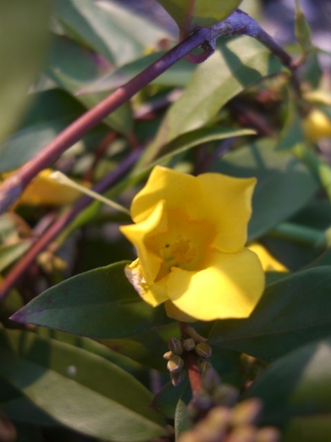 f0137275_534348.jpg