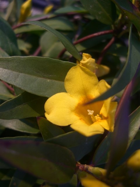 f0137275_5353859.jpg