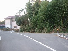 a0087378_4054.jpg