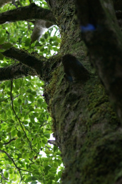 d0079278_18581071.jpg