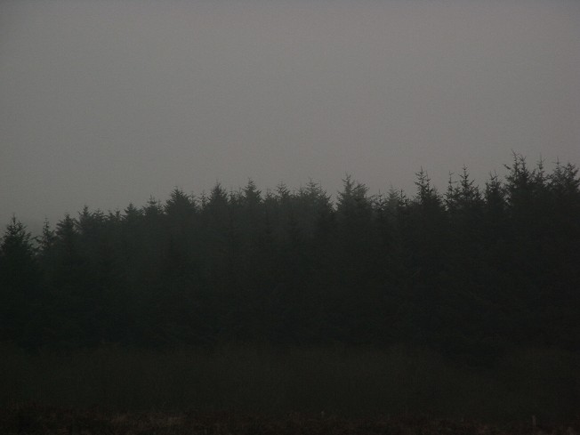 天気は悪いけど イギリス ウェールズの自然なくらし