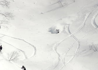 a0100206_0344375.jpg
