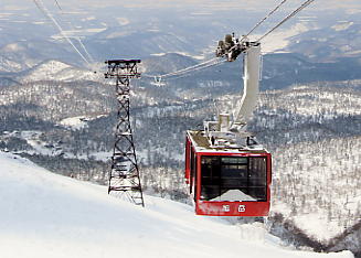 a0100206_03514.jpg