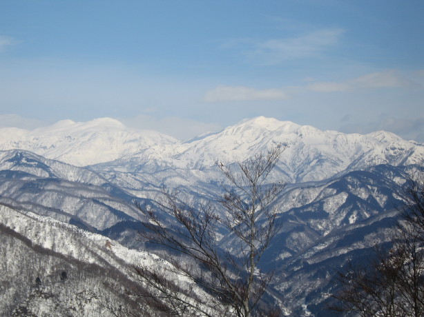 よれよれ独り登山隊！荒島岳（シャクナゲ平）へ行く_d0103314_22302191.jpg