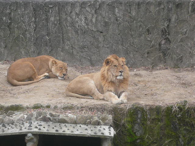 Zoo Ⅱ_e0026017_23262590.jpg