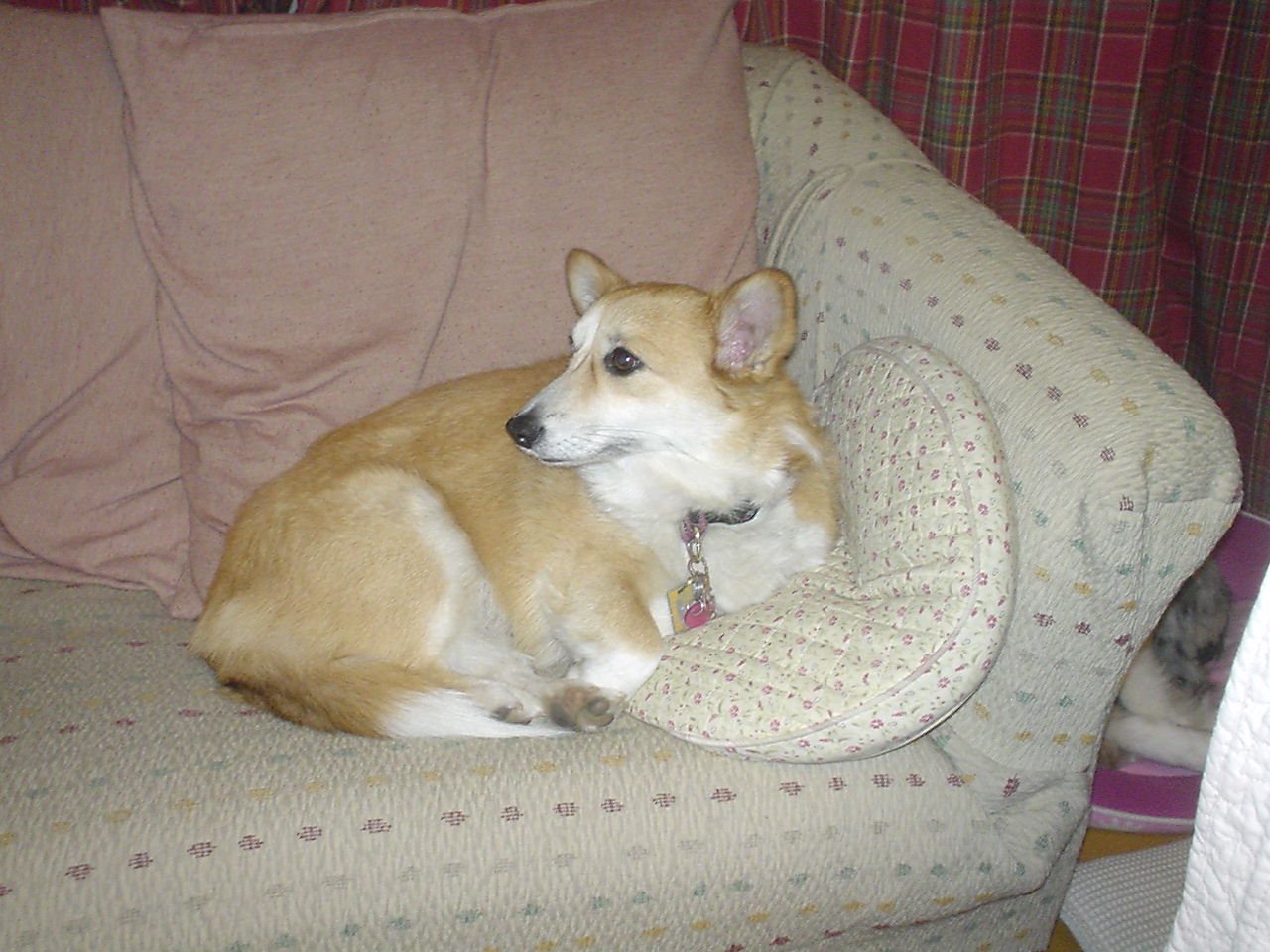 c0150520_22212.jpg