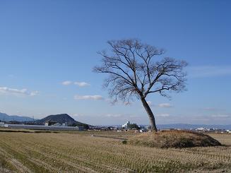 小墾田宮跡 ２００８ １ １９ Beyonyoの旅日記