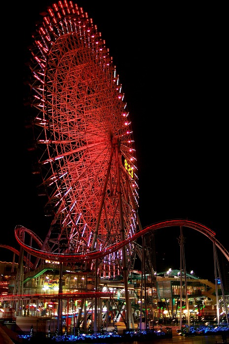 c0106831_23164525.jpg