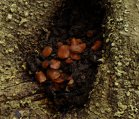 f0108133_23305075.jpg