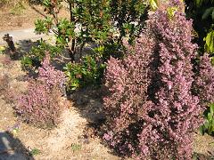 f0150936_10214079.jpg