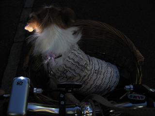 c0156345_1273740.jpg
