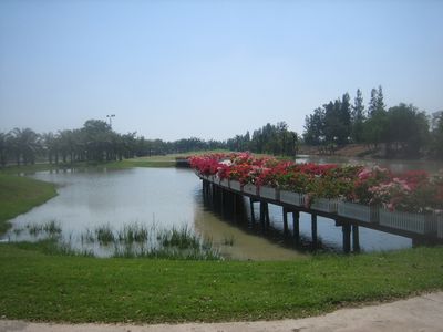 念願叶って_f0148649_2023834.jpg