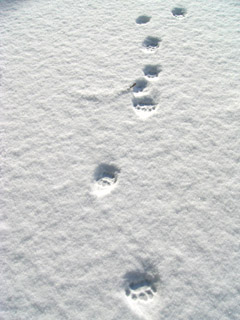 a0074650_20544448.jpg