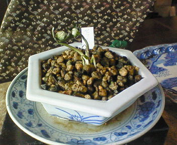 c0148951_15311033.jpg