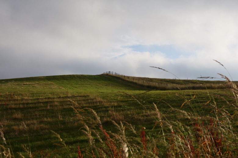 f0137354_2137894.jpg