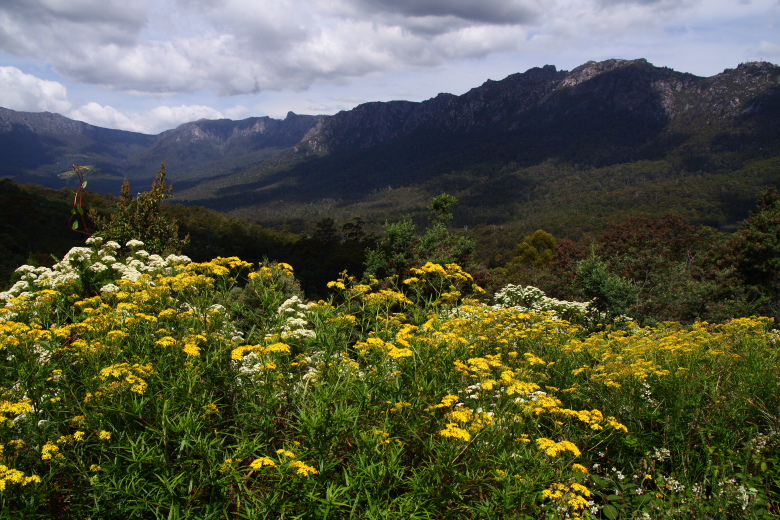 f0137354_2285199.jpg