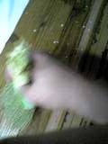 d0007957_21363846.jpg